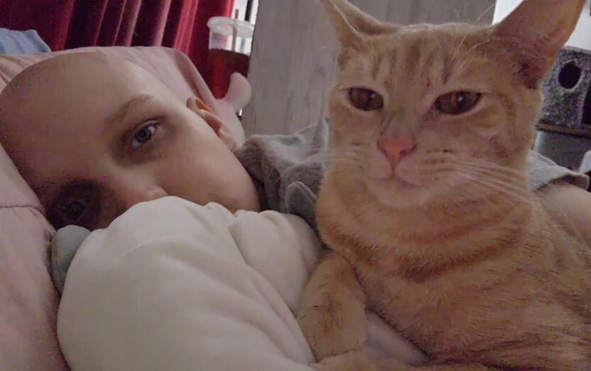 Myself laying down on my bed while holding my panda plushy on the left showing off my bald head. One of my cats, an orange rescue, on the right laying next to me